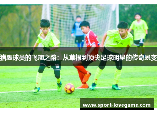 猎鹰球员的飞翔之路：从草根到顶尖足球明星的传奇蜕变