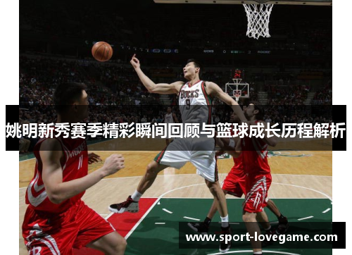 姚明新秀赛季精彩瞬间回顾与篮球成长历程解析