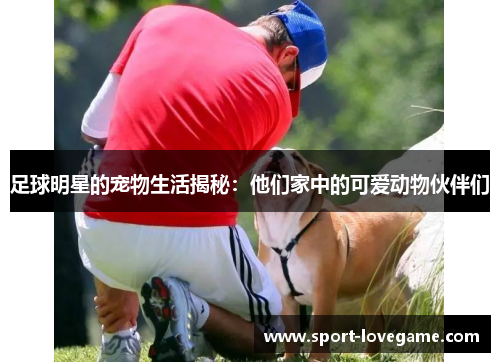足球明星的宠物生活揭秘：他们家中的可爱动物伙伴们